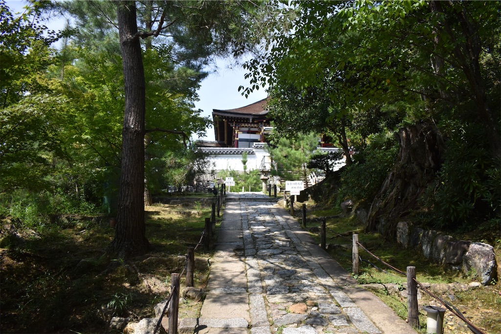 f:id:matsumotoyusuke:20201104195642j:image f:id:matsumotoyusuke:20201104195642j:image