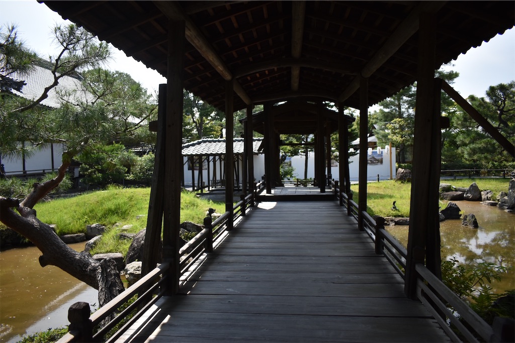 f:id:matsumotoyusuke:20201104195646j:image f:id:matsumotoyusuke:20201104195646j:image