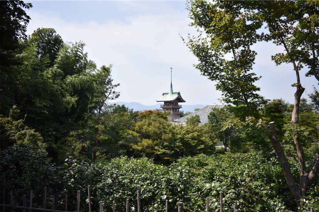 f:id:matsumotoyusuke:20201104195912j:image f:id:matsumotoyusuke:20201104195912j:image