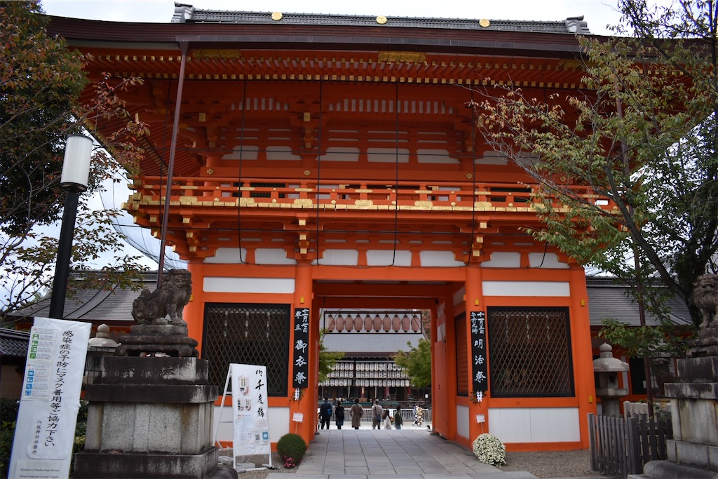 f:id:matsumotoyusuke:20201105140420j:image