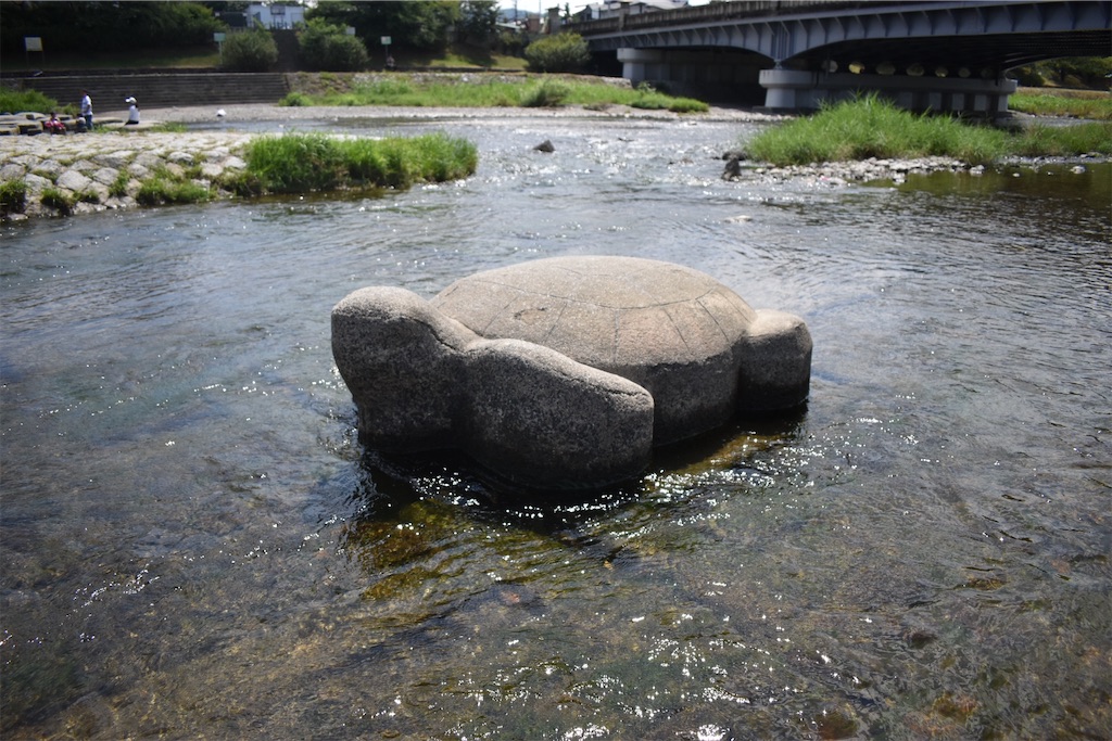 f:id:matsumotoyusuke:20201122212052j:image