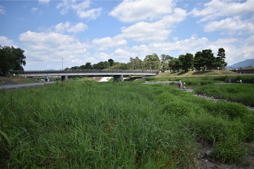 f:id:matsumotoyusuke:20201122212304j:image