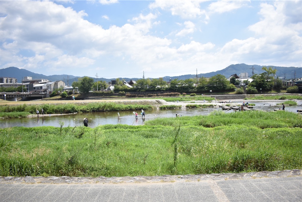 f:id:matsumotoyusuke:20201123174618j:image