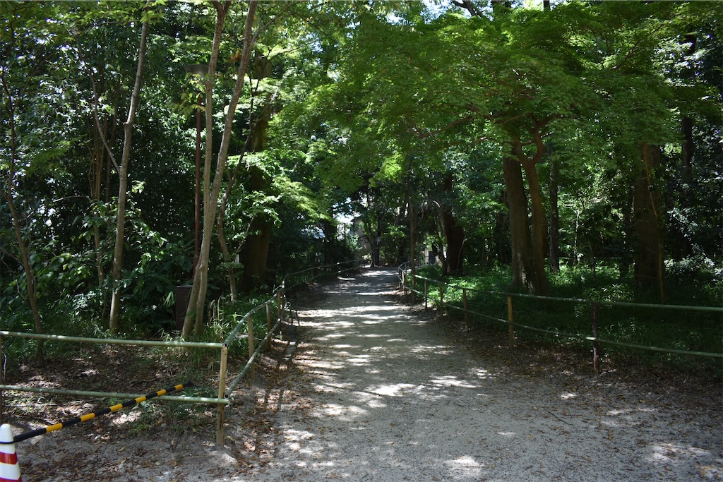 f:id:matsumotoyusuke:20201123183302j:image