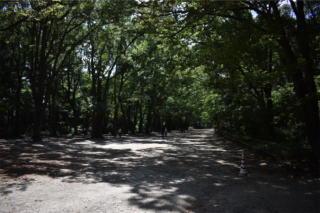 f:id:matsumotoyusuke:20201123183317j:image