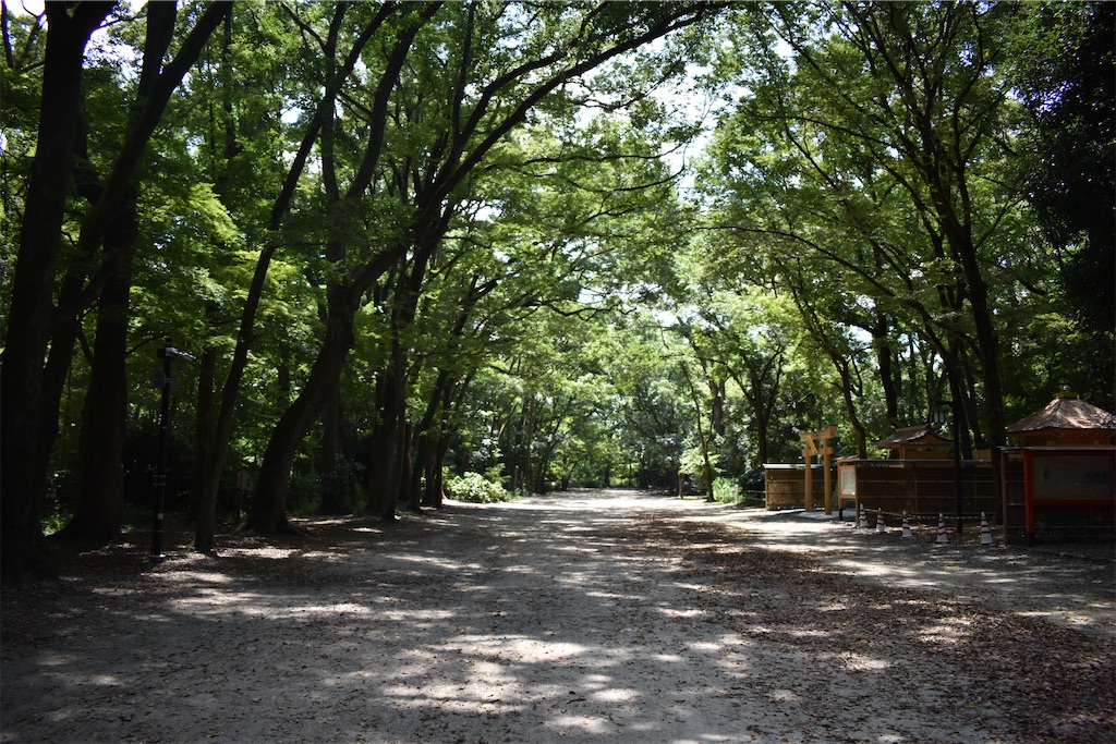 f:id:matsumotoyusuke:20201123183737j:image