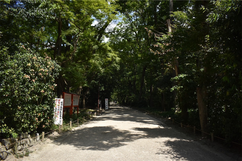 f:id:matsumotoyusuke:20201123183904j:image