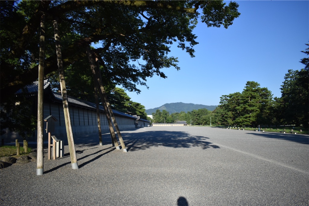f:id:matsumotoyusuke:20201123184236j:image