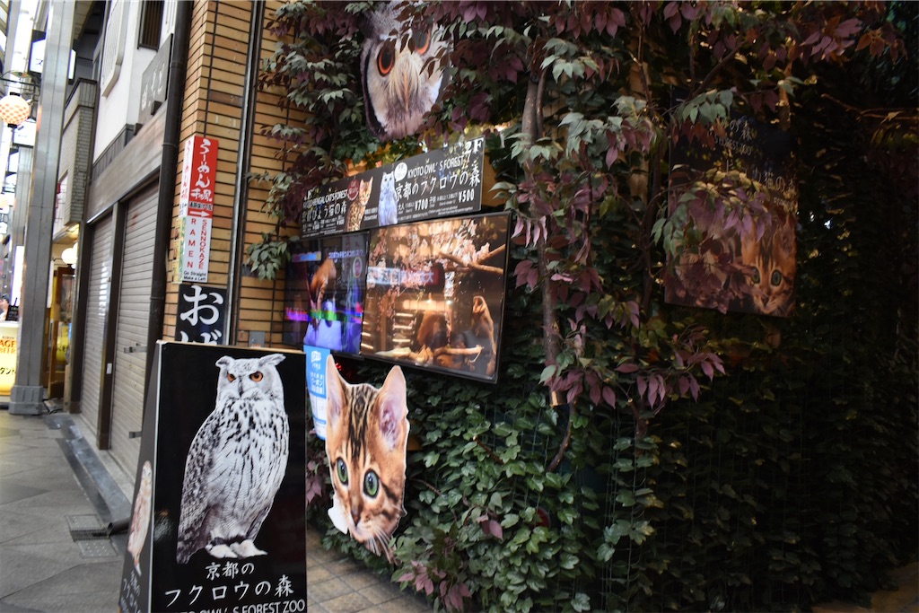 f:id:matsumotoyusuke:20201228165927j:image