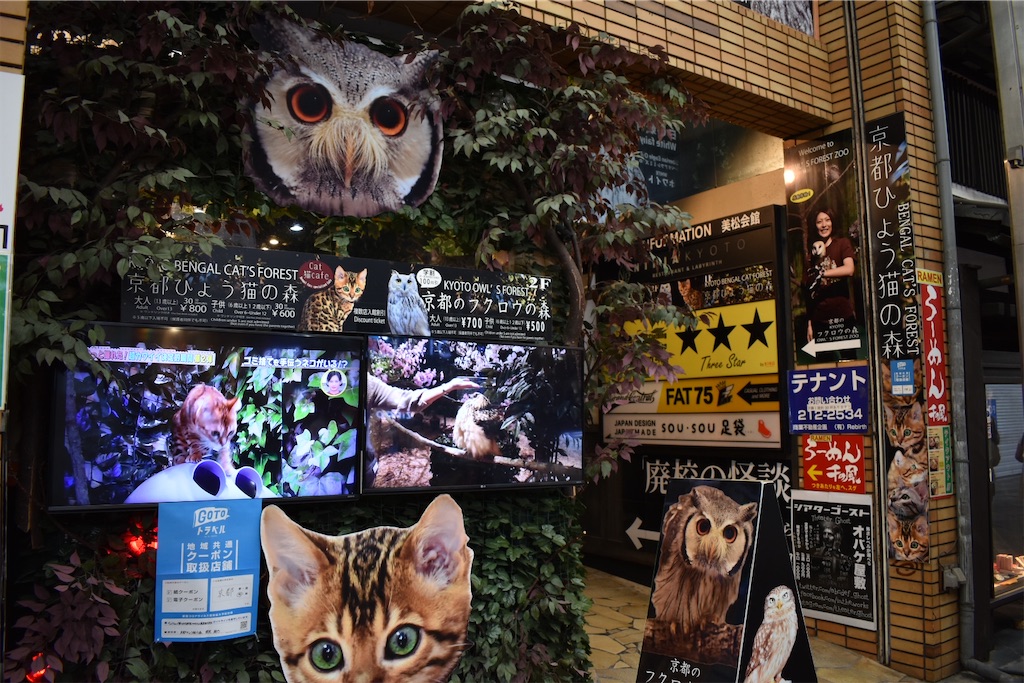 f:id:matsumotoyusuke:20201228170102j:image
