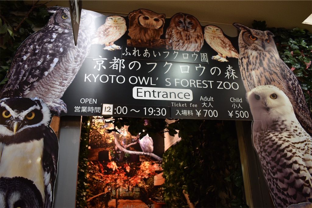 f:id:matsumotoyusuke:20201228170152j:image