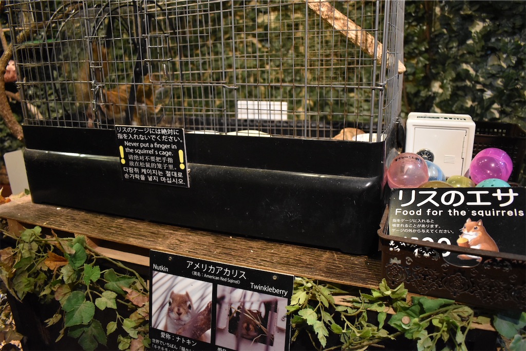 f:id:matsumotoyusuke:20201228170422j:image