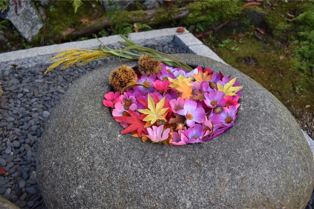 f:id:matsumotoyusuke:20201228204412j:image f:id:matsumotoyusuke:20201228204412j:image