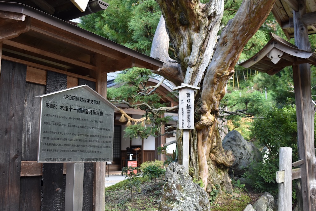 f:id:matsumotoyusuke:20201228204418j:image f:id:matsumotoyusuke:20201228204418j:image