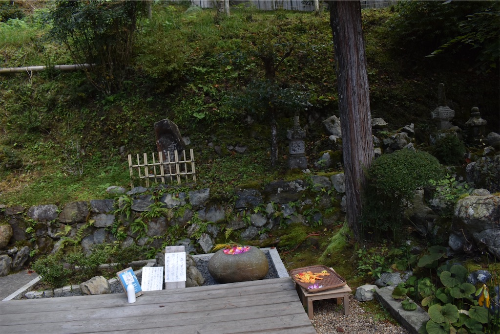 f:id:matsumotoyusuke:20201228204425j:image f:id:matsumotoyusuke:20201228204425j:image