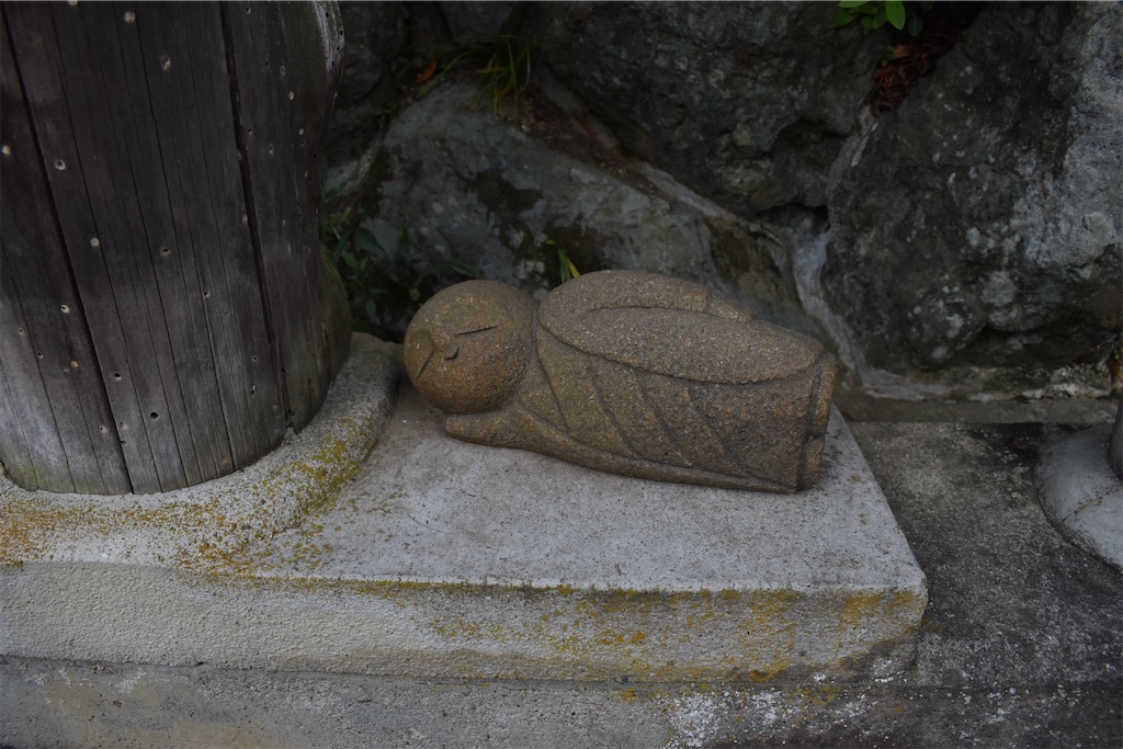 f:id:matsumotoyusuke:20201228204457j:image f:id:matsumotoyusuke:20201228204457j:image