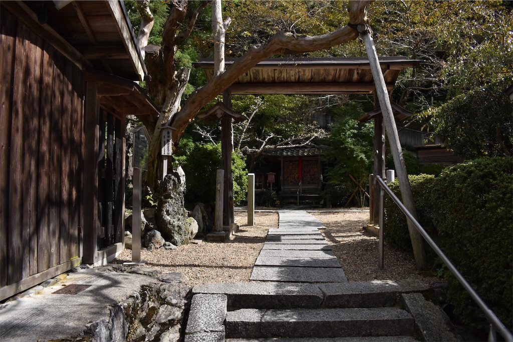 f:id:matsumotoyusuke:20201228204525j:image f:id:matsumotoyusuke:20201228204525j:image