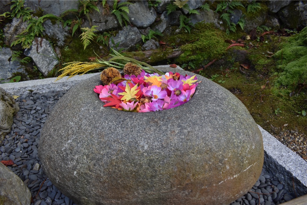 f:id:matsumotoyusuke:20201228204531j:image f:id:matsumotoyusuke:20201228204531j:image