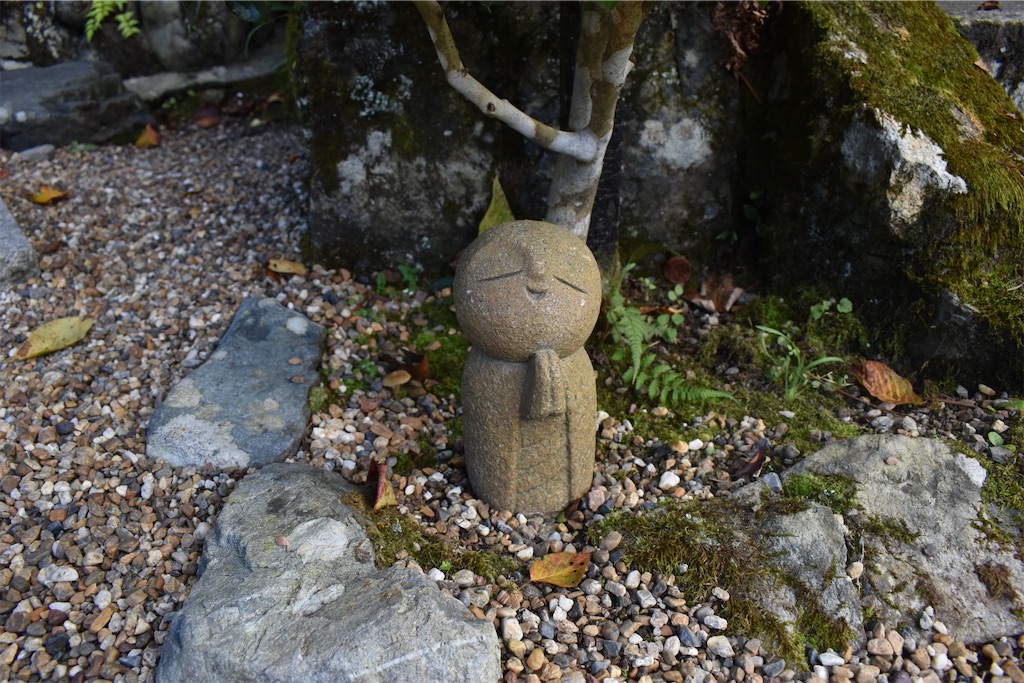 f:id:matsumotoyusuke:20201228204605j:image f:id:matsumotoyusuke:20201228204605j:image