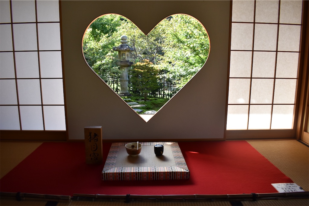 f:id:matsumotoyusuke:20201228211123j:image f:id:matsumotoyusuke:20201228211123j:image