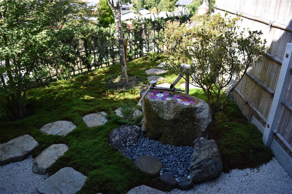 f:id:matsumotoyusuke:20201228211131j:image f:id:matsumotoyusuke:20201228211131j:image