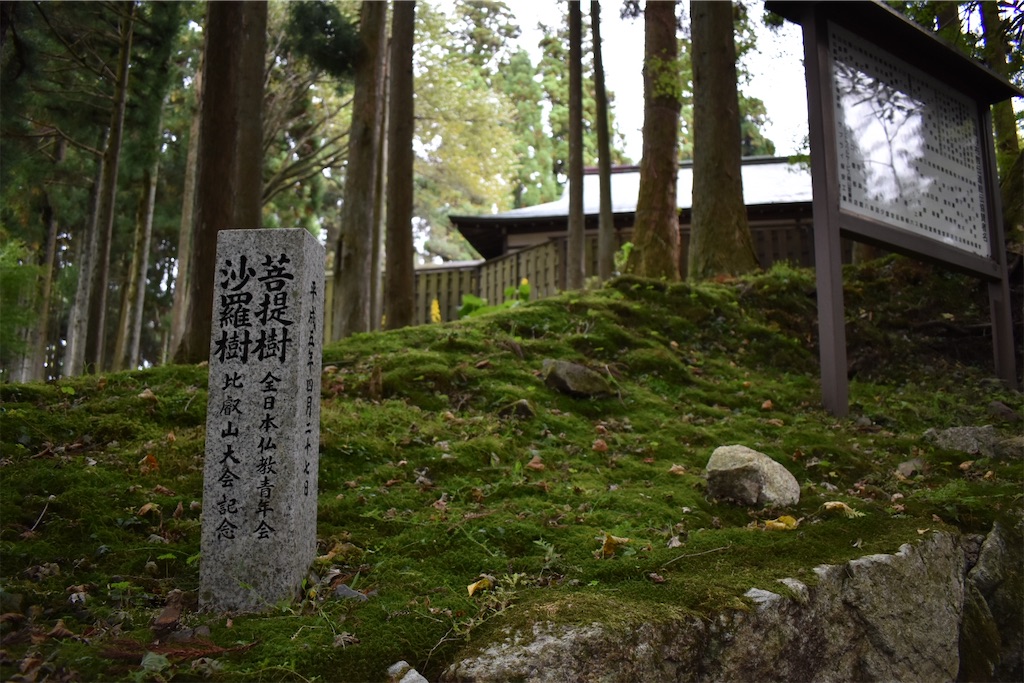 f:id:matsumotoyusuke:20201228215446j:image