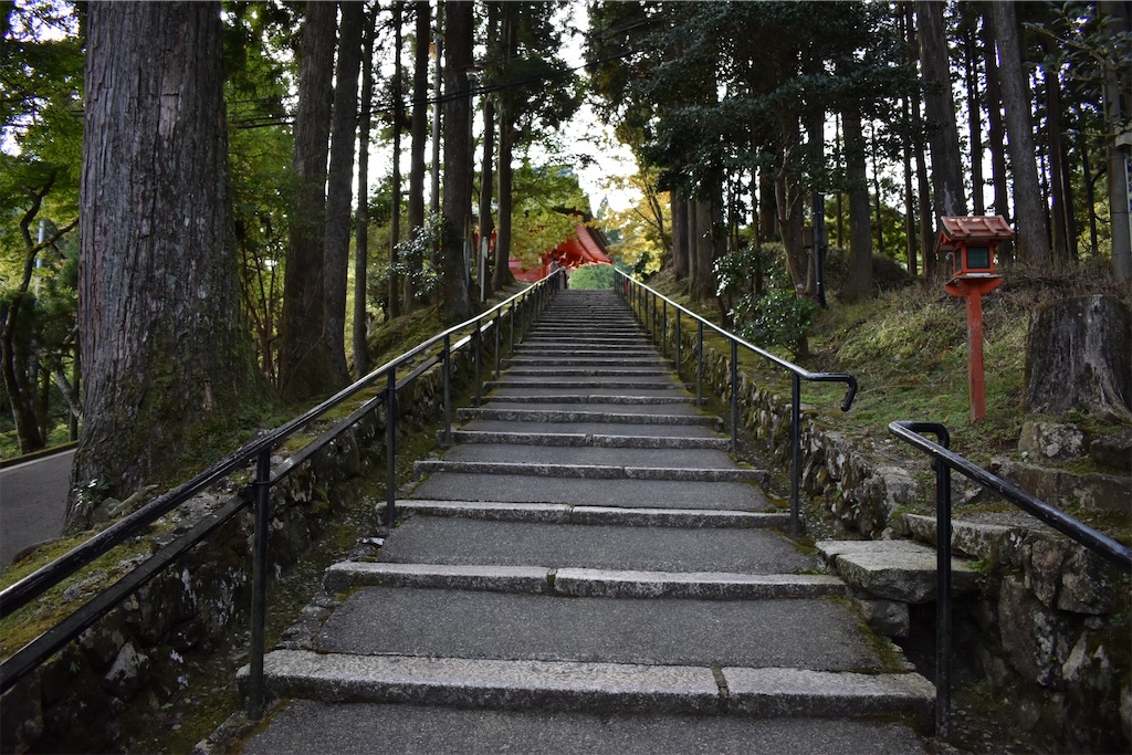 f:id:matsumotoyusuke:20201228220620j:image