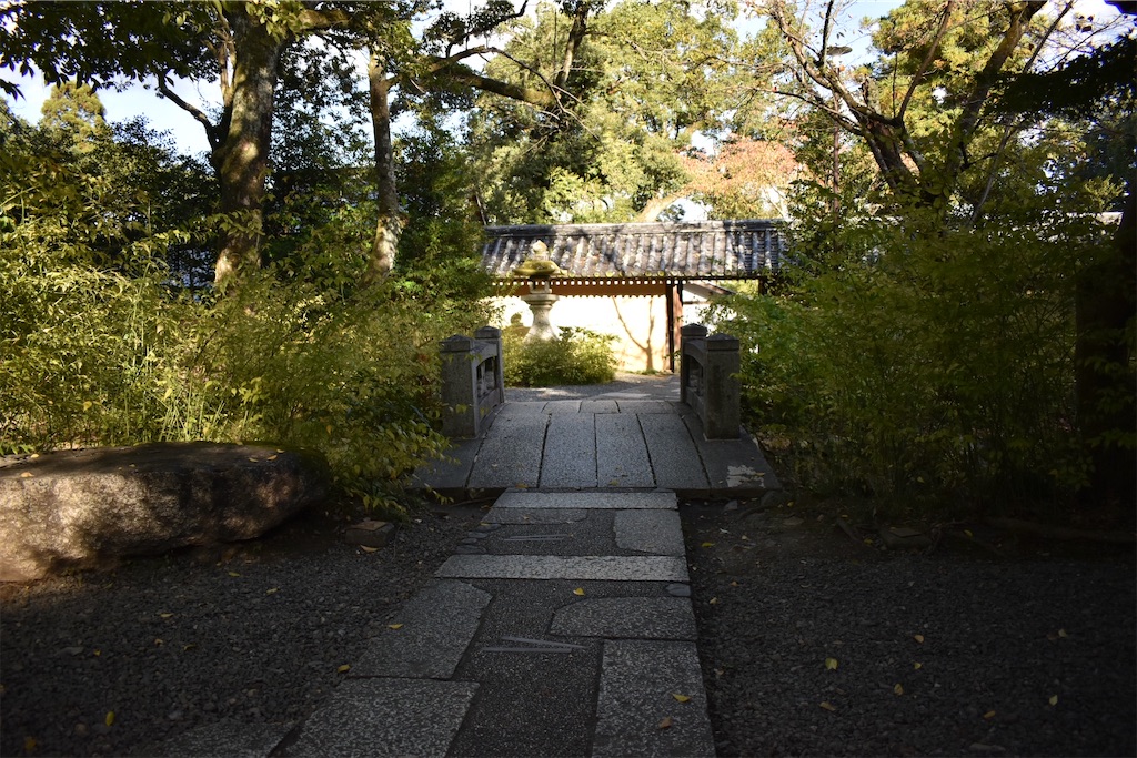 f:id:matsumotoyusuke:20201229162237j:image