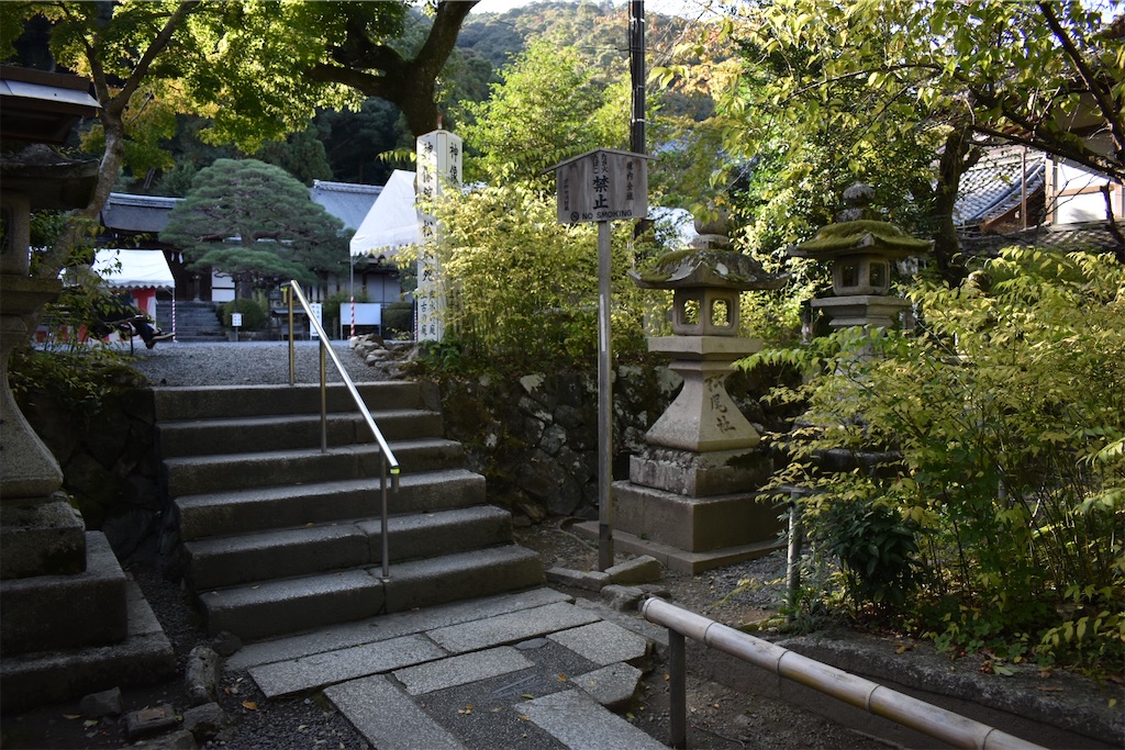 f:id:matsumotoyusuke:20201229162305j:image