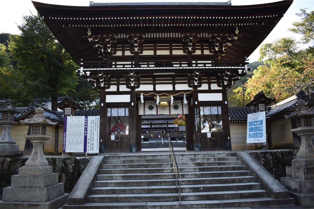 f:id:matsumotoyusuke:20201229162432j:image