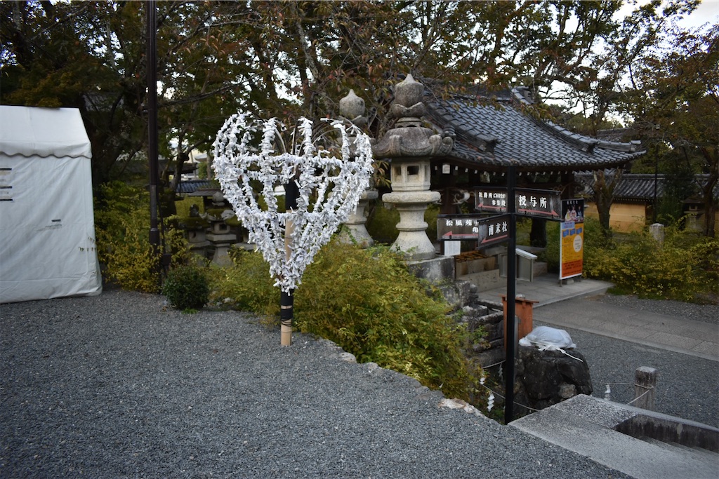 f:id:matsumotoyusuke:20201229162511j:image
