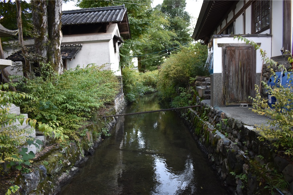 f:id:matsumotoyusuke:20201229162949j:image