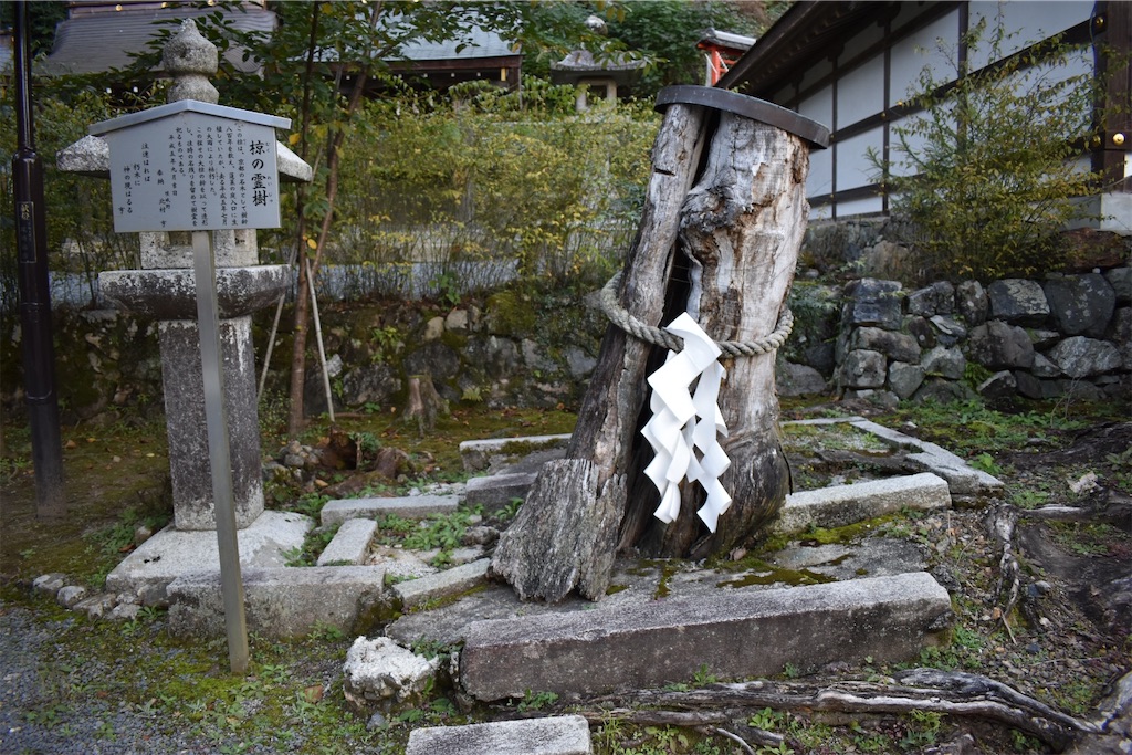 f:id:matsumotoyusuke:20201229163048j:image