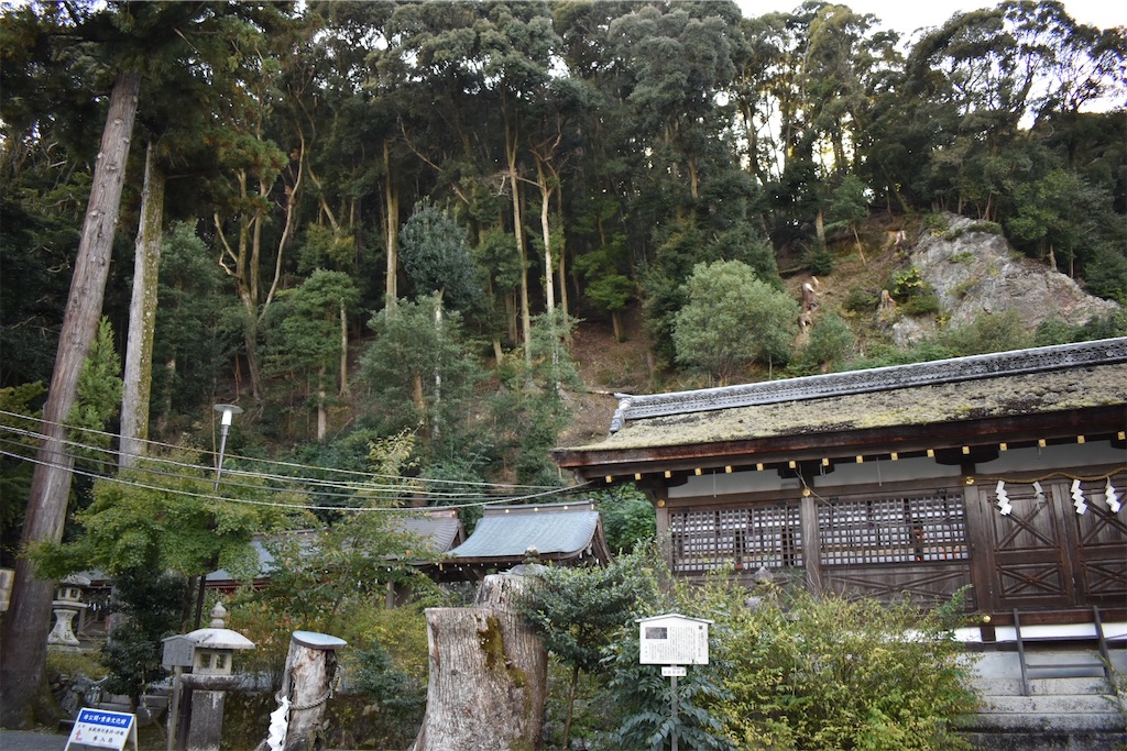f:id:matsumotoyusuke:20201229163119j:image