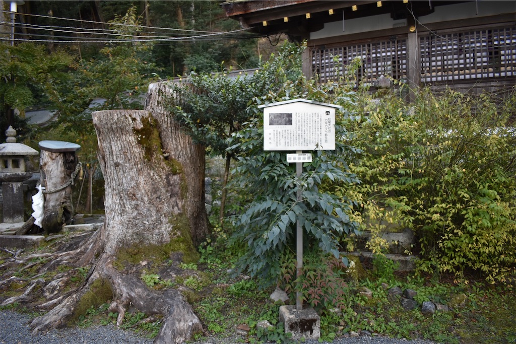 f:id:matsumotoyusuke:20201229163423j:image