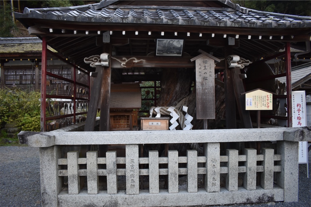 f:id:matsumotoyusuke:20201229163428j:image