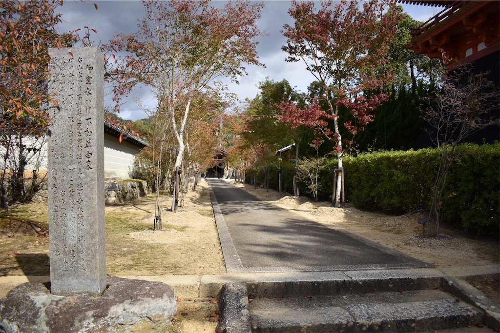 f:id:matsumotoyusuke:20201229170207j:image f:id:matsumotoyusuke:20201229170207j:image
