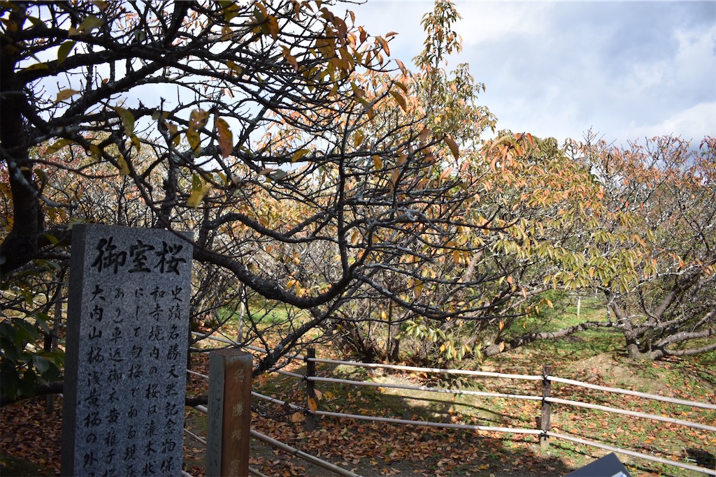 f:id:matsumotoyusuke:20201229170214j:image f:id:matsumotoyusuke:20201229170214j:image
