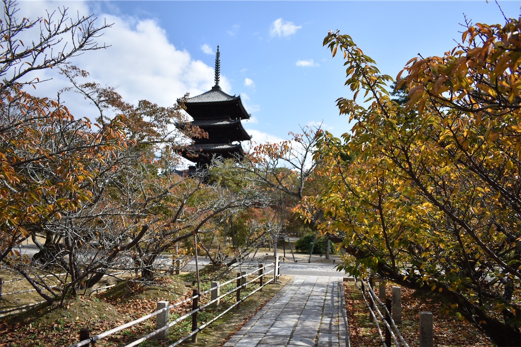 f:id:matsumotoyusuke:20201229170337j:image f:id:matsumotoyusuke:20201229170337j:image