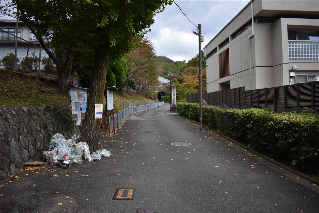 f:id:matsumotoyusuke:20201229170350j:image f:id:matsumotoyusuke:20201229170350j:image