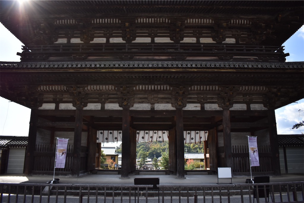 f:id:matsumotoyusuke:20201229170408j:image f:id:matsumotoyusuke:20201229170408j:image