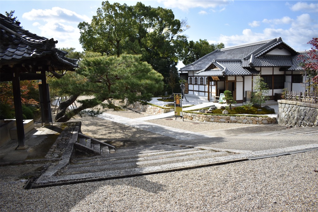 f:id:matsumotoyusuke:20201229170414j:image f:id:matsumotoyusuke:20201229170414j:image