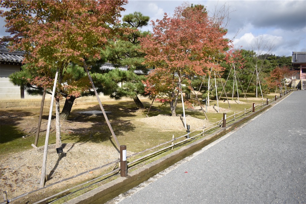 f:id:matsumotoyusuke:20201229170422j:image f:id:matsumotoyusuke:20201229170422j:image