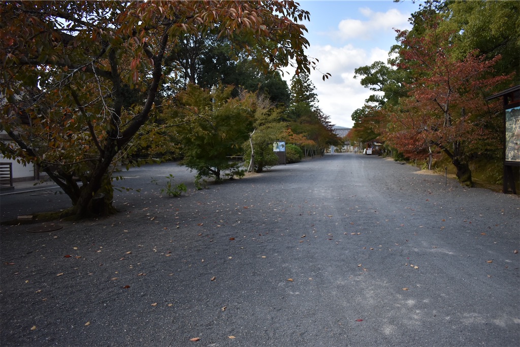 f:id:matsumotoyusuke:20201229170459j:image f:id:matsumotoyusuke:20201229170459j:image