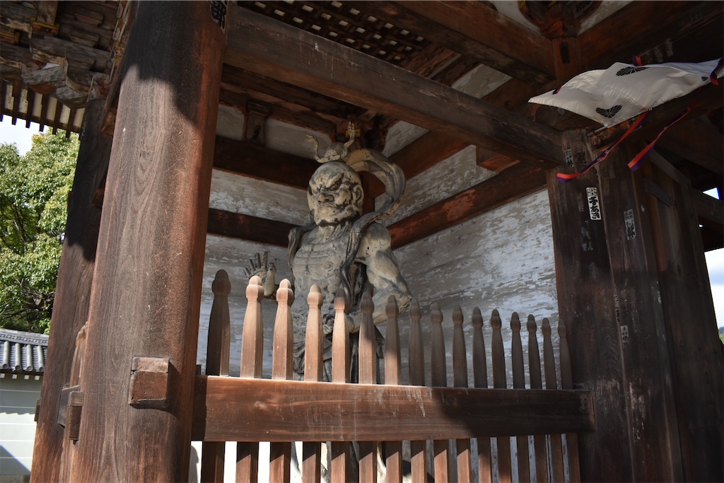 f:id:matsumotoyusuke:20201229170547j:image f:id:matsumotoyusuke:20201229170547j:image