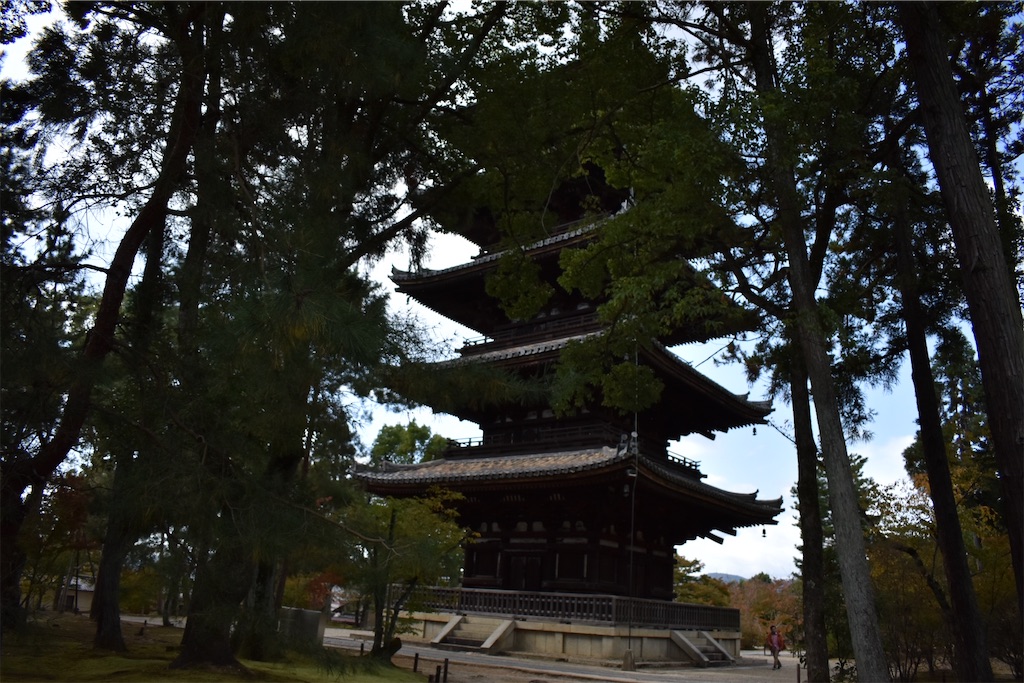 f:id:matsumotoyusuke:20201229170608j:image f:id:matsumotoyusuke:20201229170608j:image