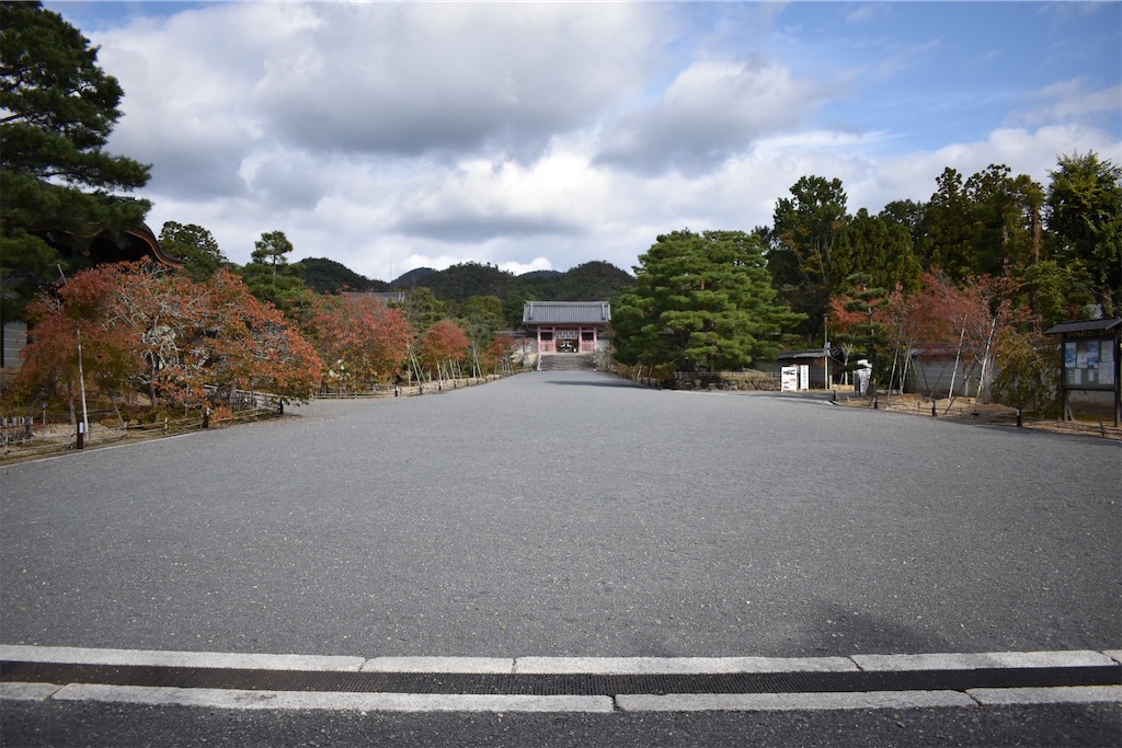 f:id:matsumotoyusuke:20201229170718j:image f:id:matsumotoyusuke:20201229170718j:image