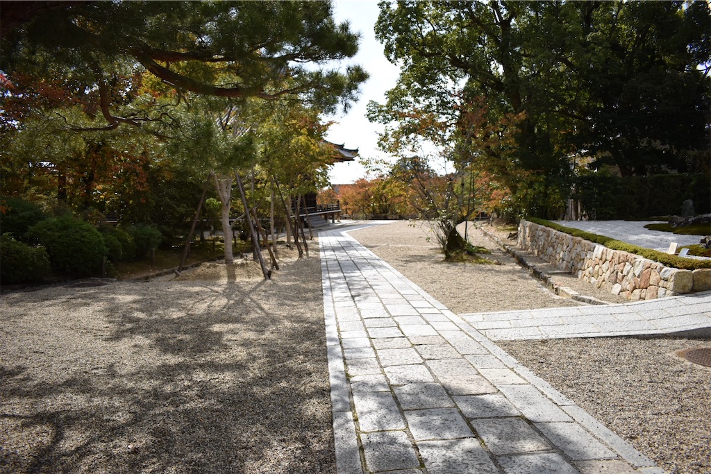 f:id:matsumotoyusuke:20201229170730j:image f:id:matsumotoyusuke:20201229170730j:image