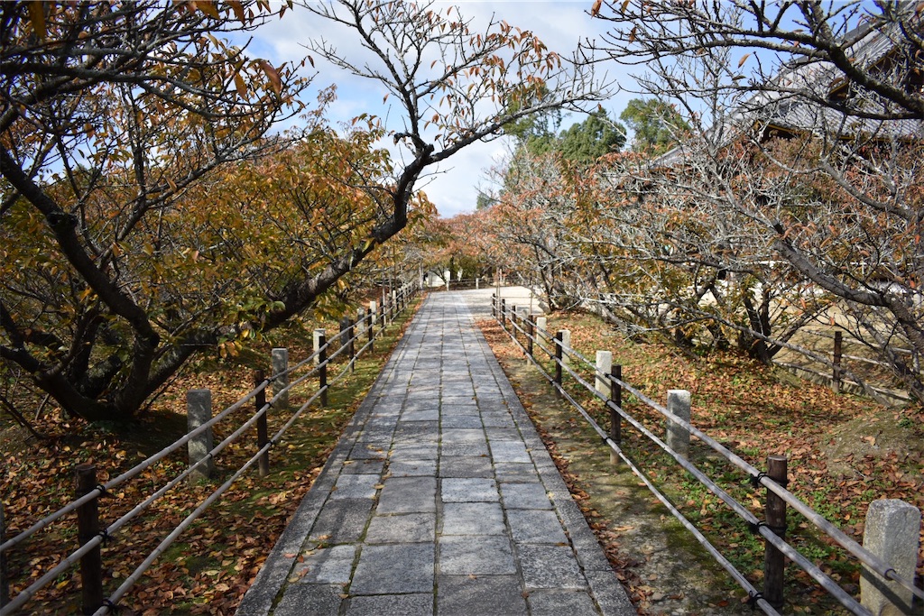 f:id:matsumotoyusuke:20201229170758j:image f:id:matsumotoyusuke:20201229170758j:image