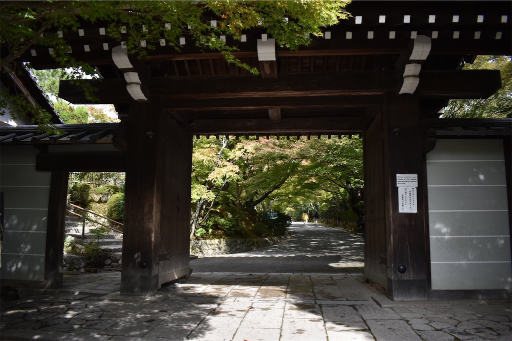 f:id:matsumotoyusuke:20210104190702j:image